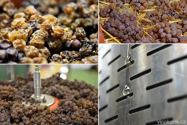 šardice ubytování jižní morava sklípek víno degustace wine czech moravia moravské toskánsko