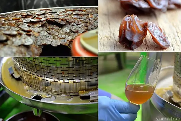 šardice ubytování jižní morava sklípek víno degustace wine czech moravia moravské toskánsko